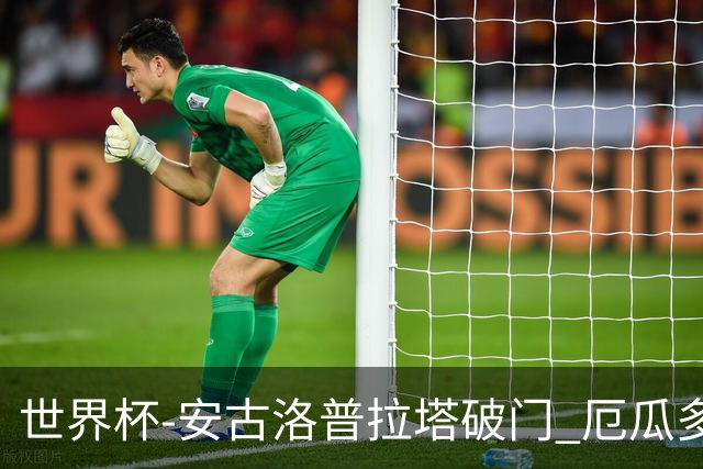 世界杯-安古洛普拉塔破门 厄瓜多尔2-1逆转德国出线