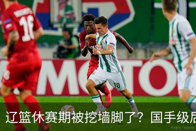 辽篮休赛期被挖墙脚了？国手级后卫恐被交易：变相逼着赵继伟走人